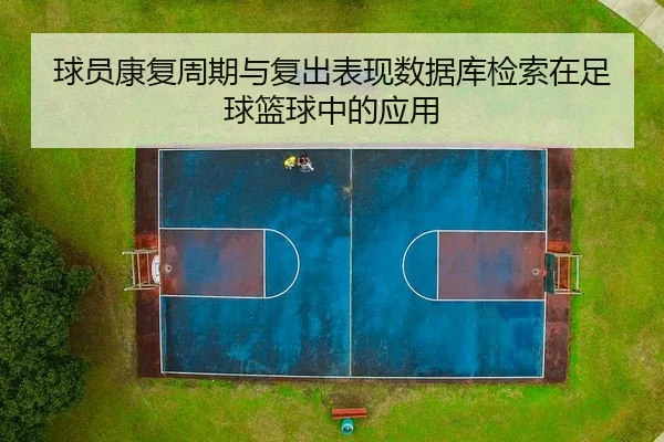 球员康复周期与复出表现数据库检索在足球篮球中的应用
